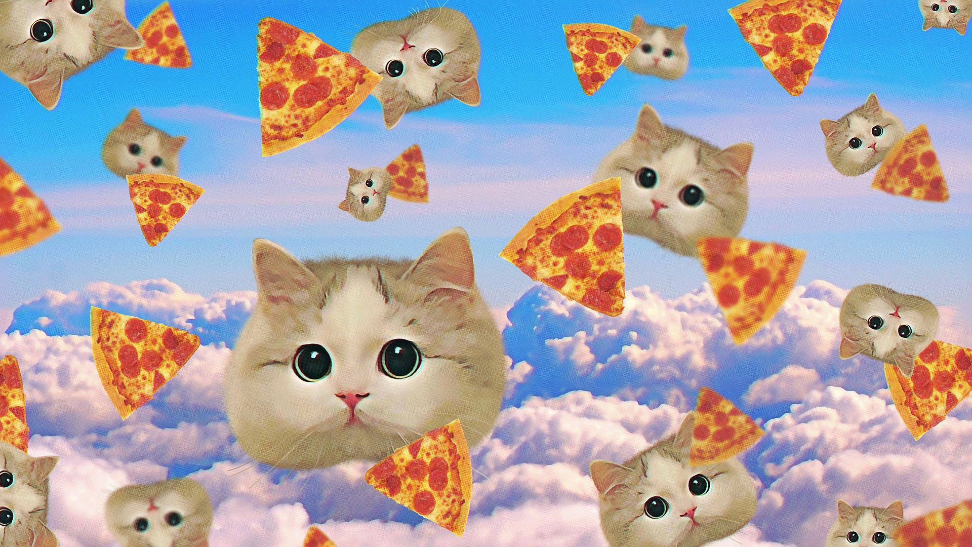 Cat Pizza Wallpapers