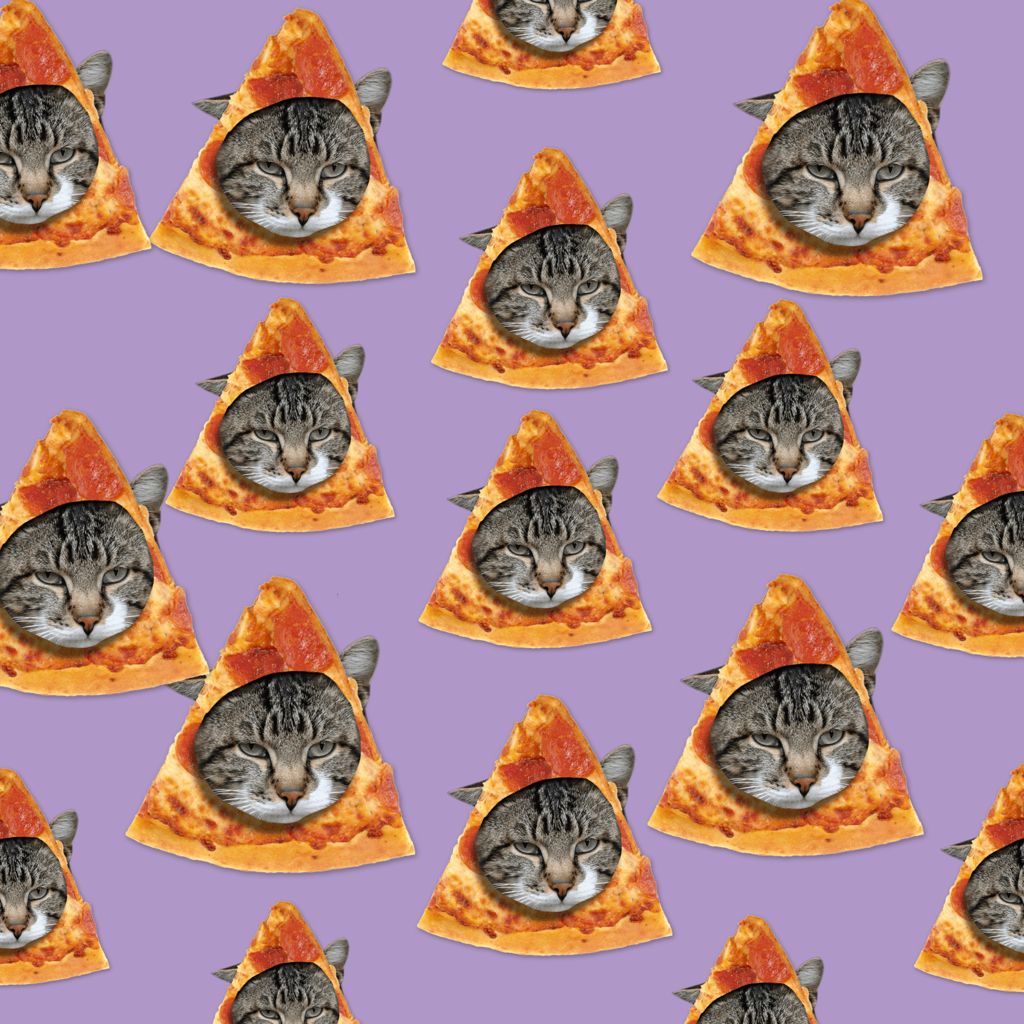 Cat Pizza Wallpapers