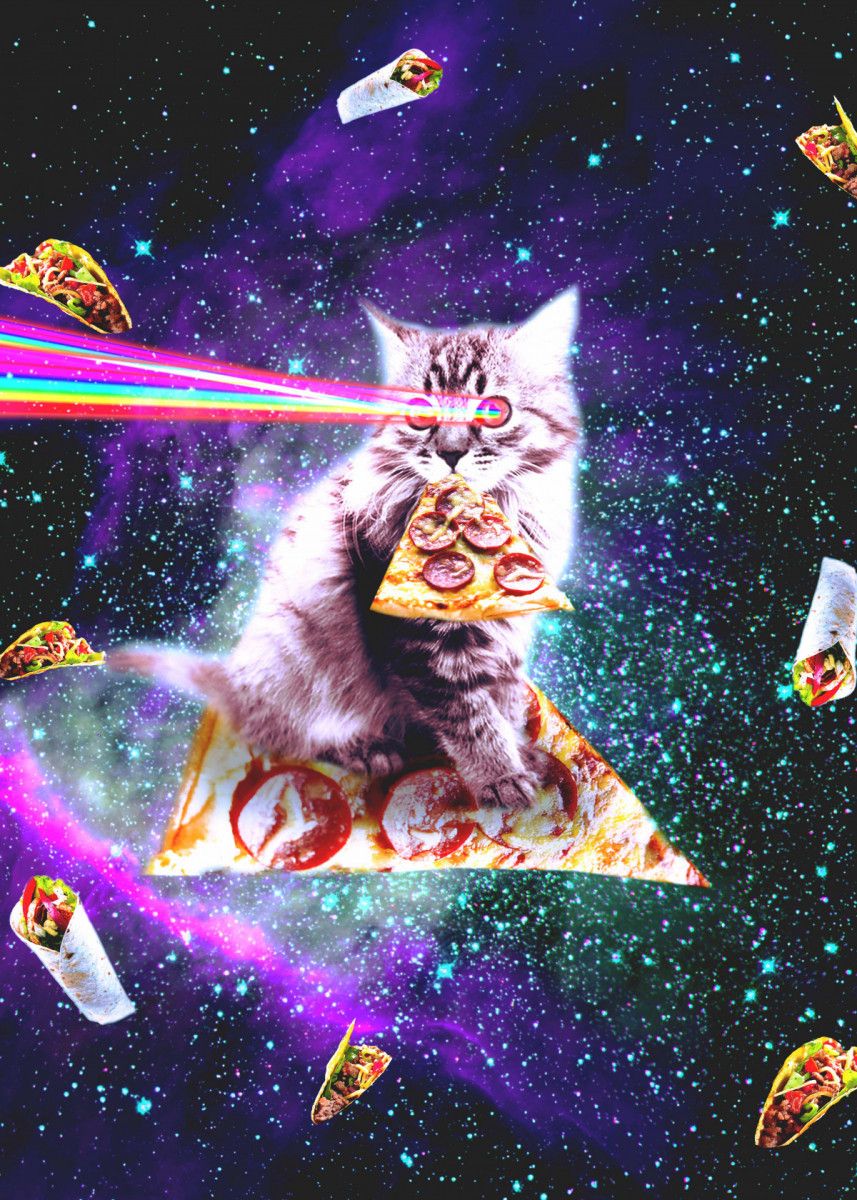 Cat Pizza Wallpapers