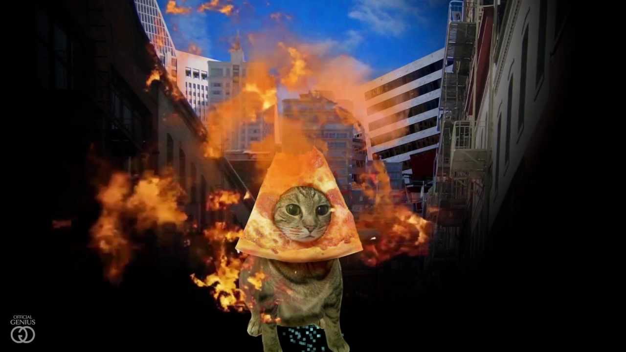 Cat Pizza Wallpapers