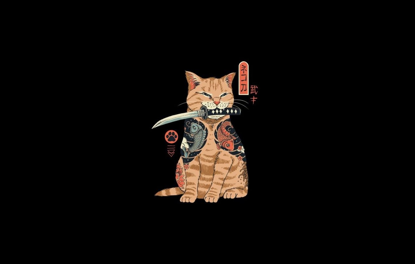 Cat Samurai Wallpapers