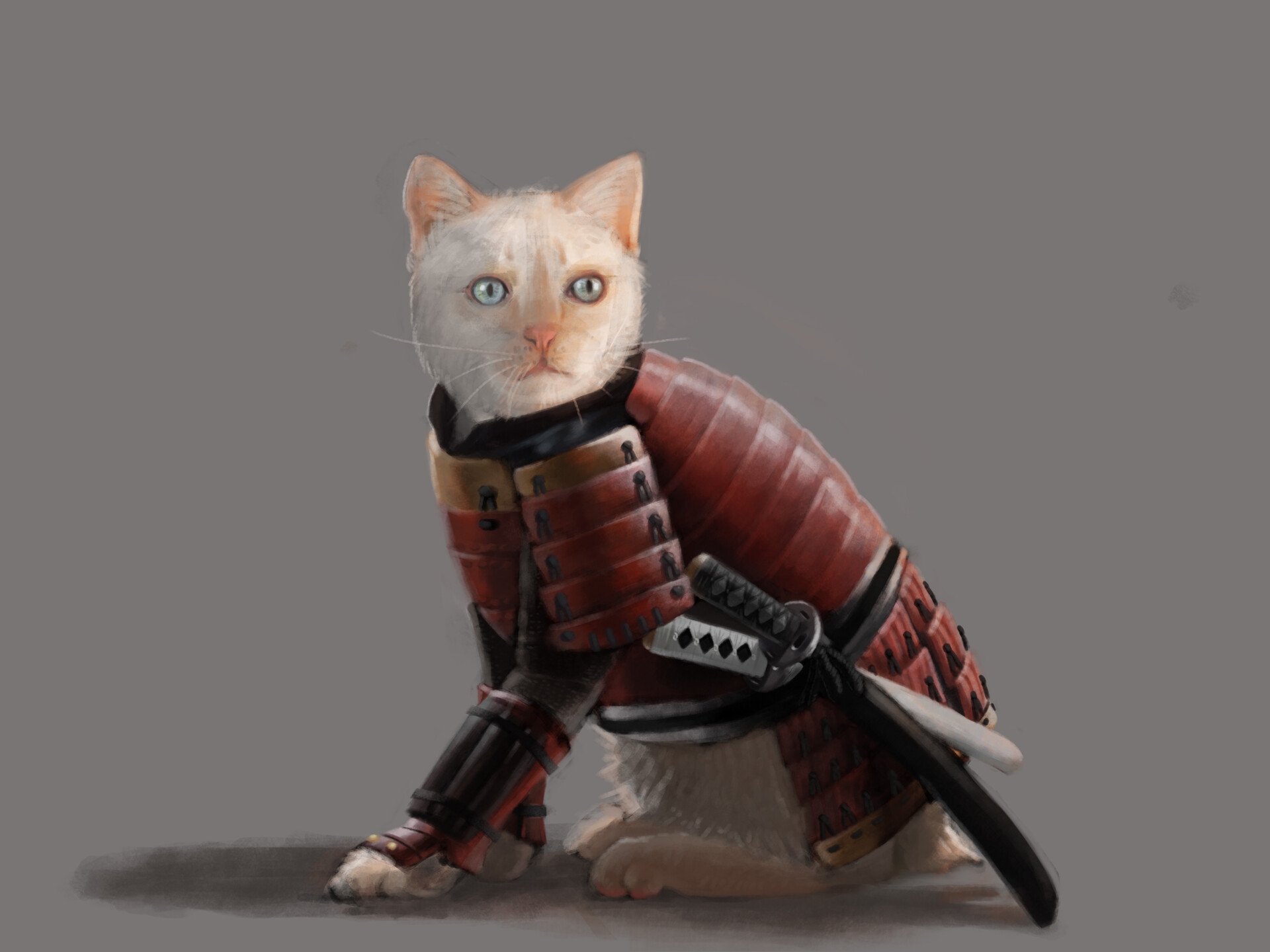 Cat Samurai Wallpapers