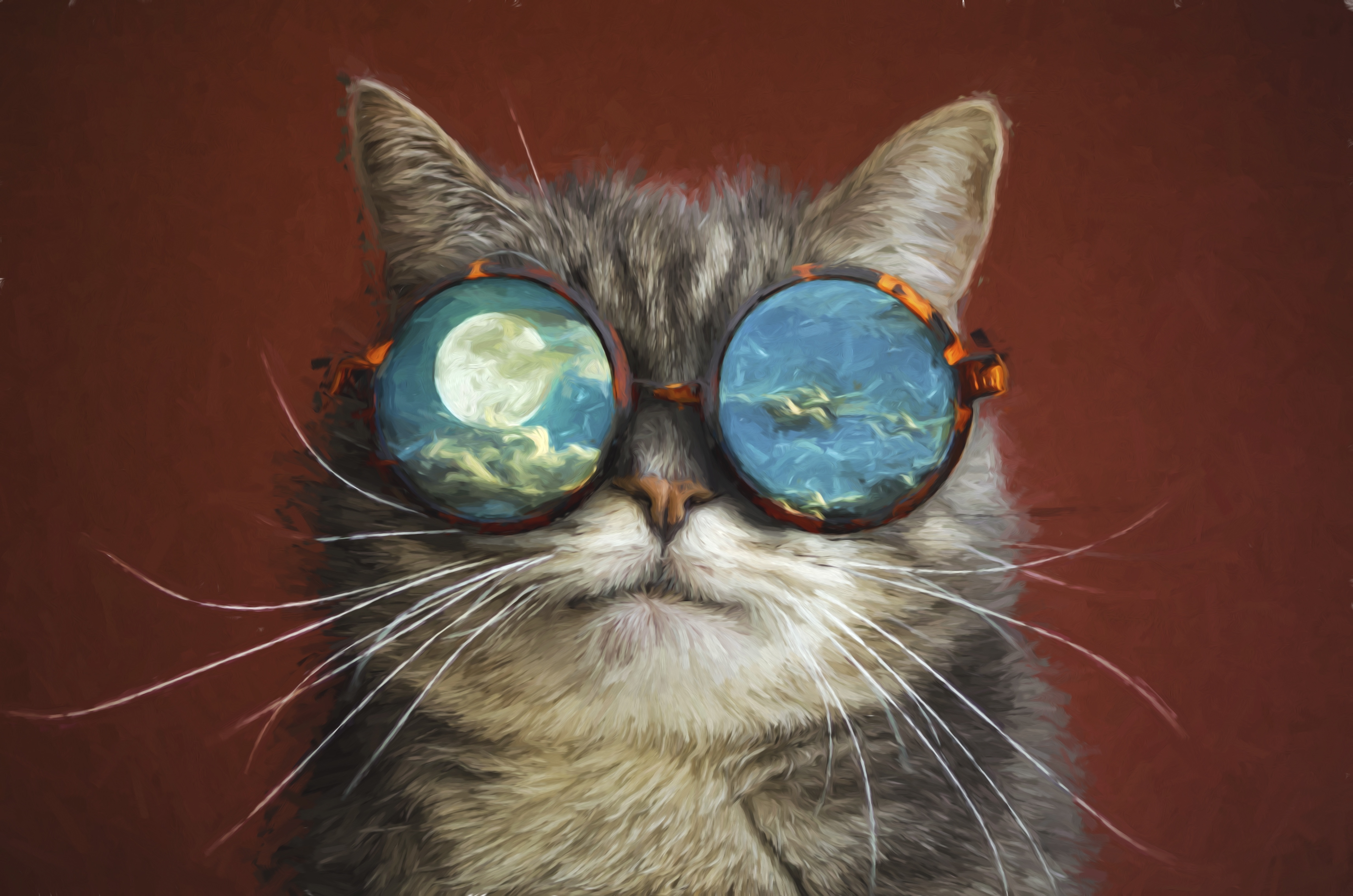 Cat With Sunglasses Wallpapers