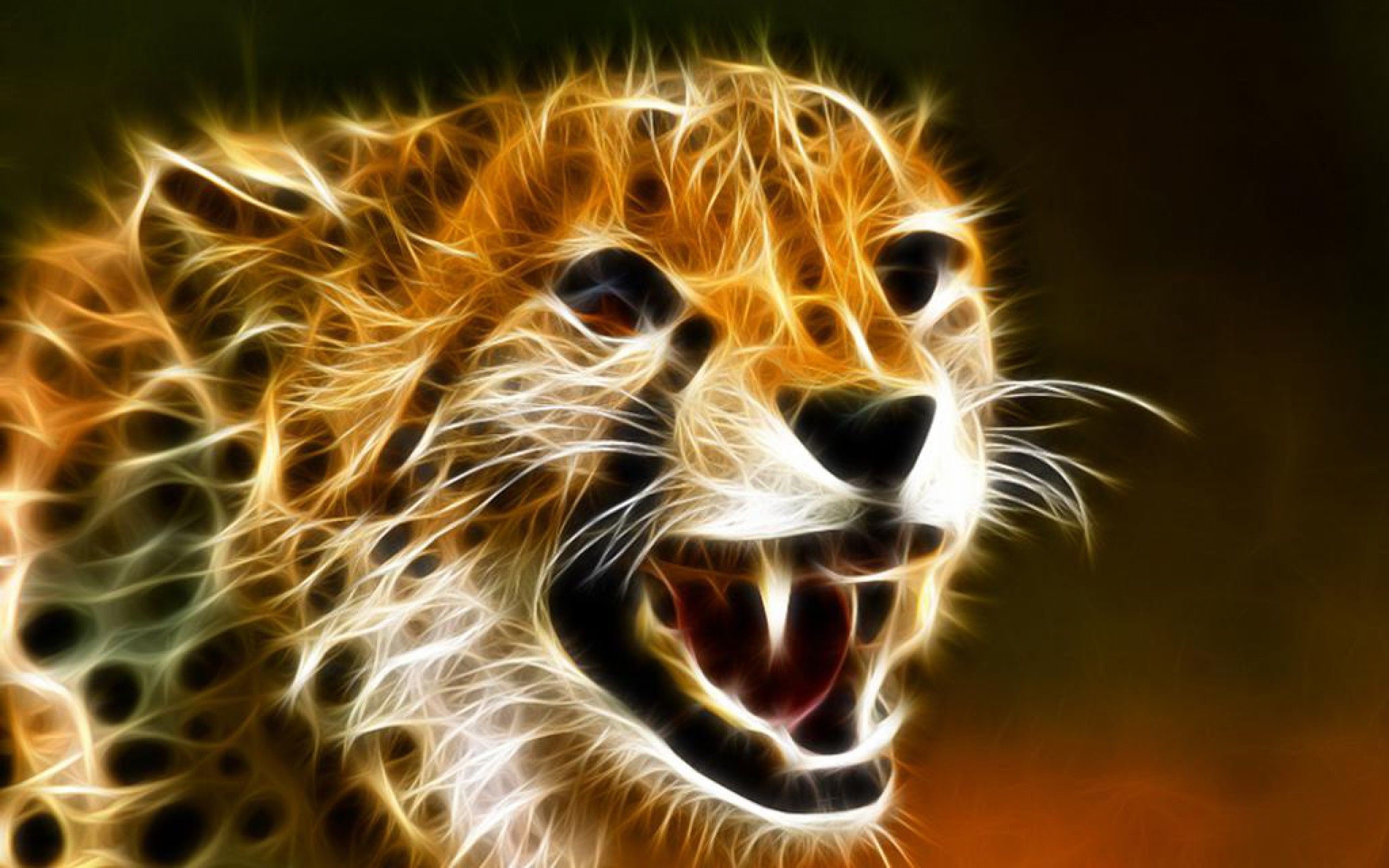 Cheetah Wallpapers