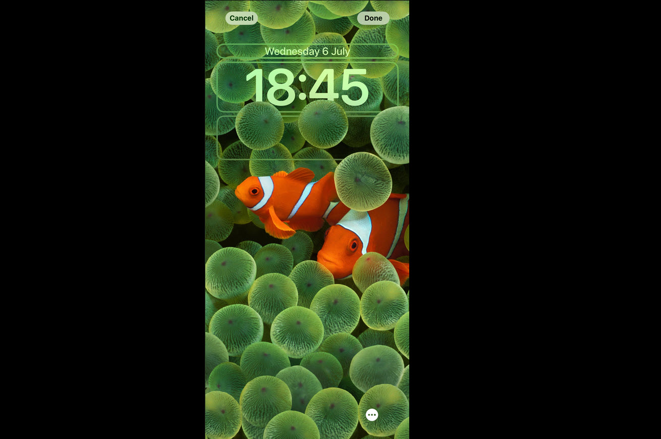 Clownfish Wallpapers