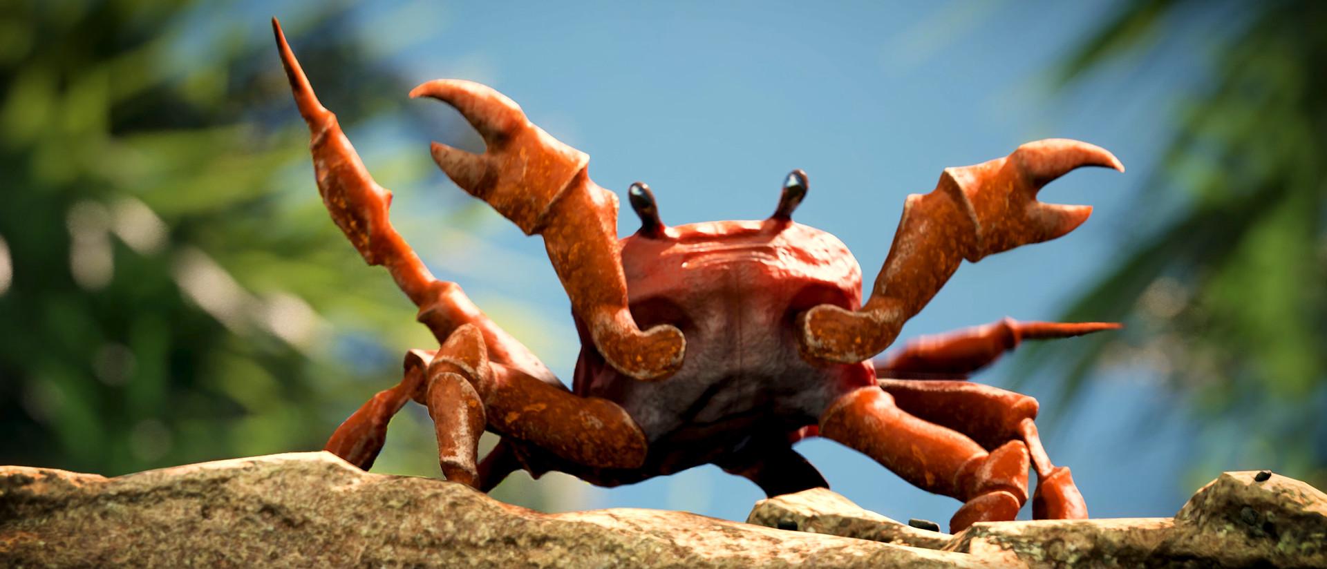 Crab Wallpapers