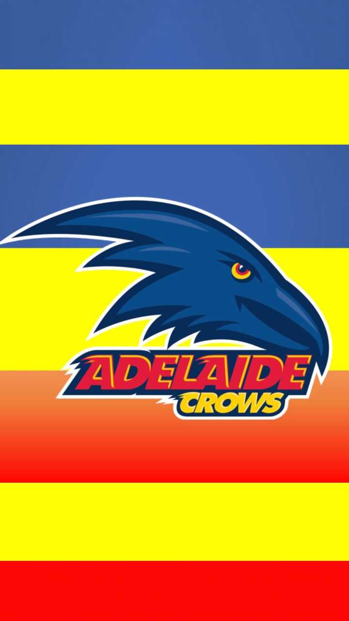 Crows Wallpapers