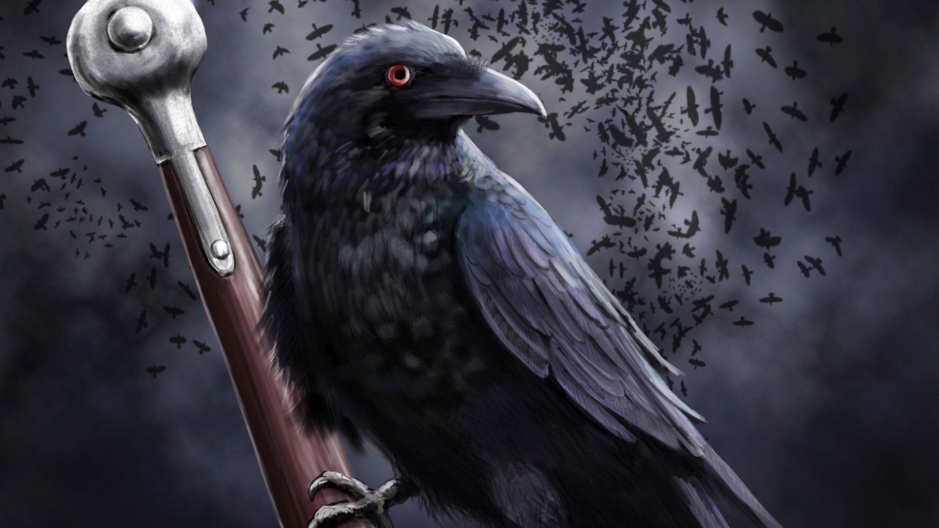 Crows Wallpapers