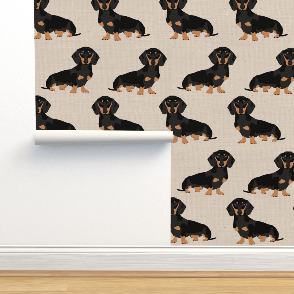 Dachshund Wallpapers