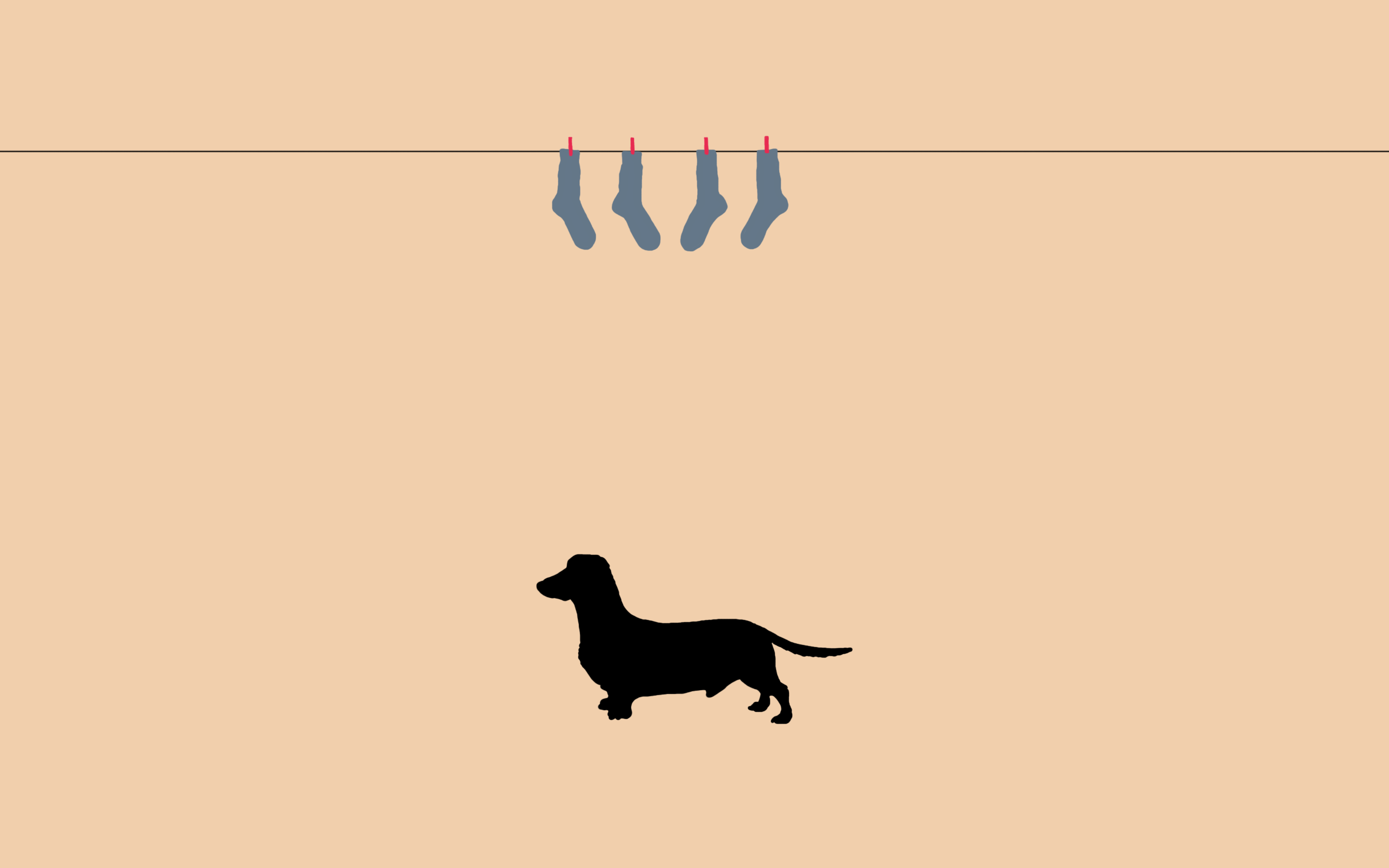 Dachshund Wallpapers