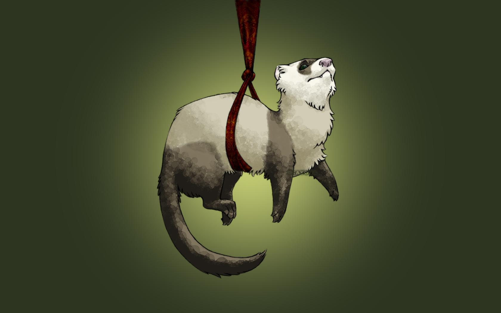 Ferret Wallpapers