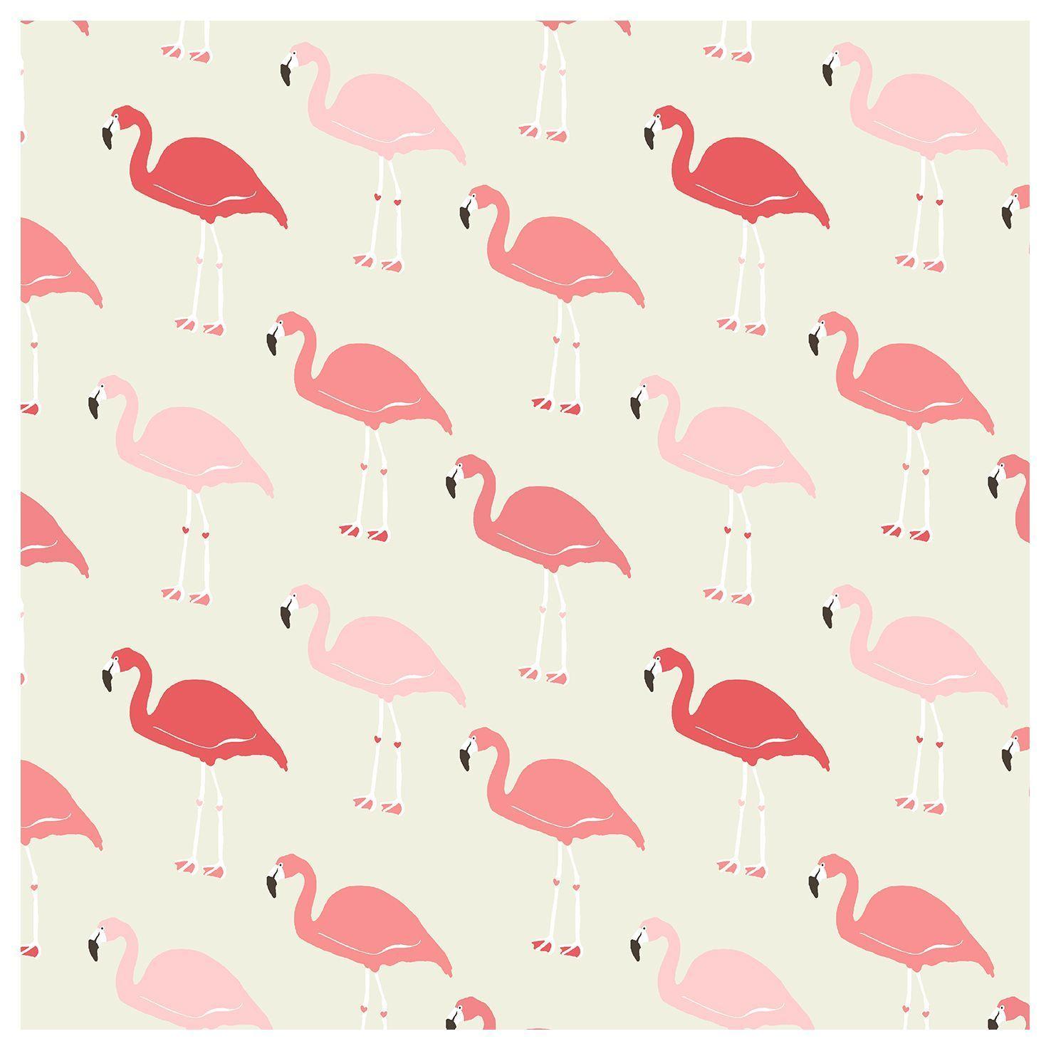 Flamingo Wallpapers