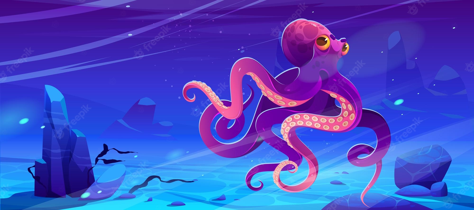 Giant Squid Wallpapers