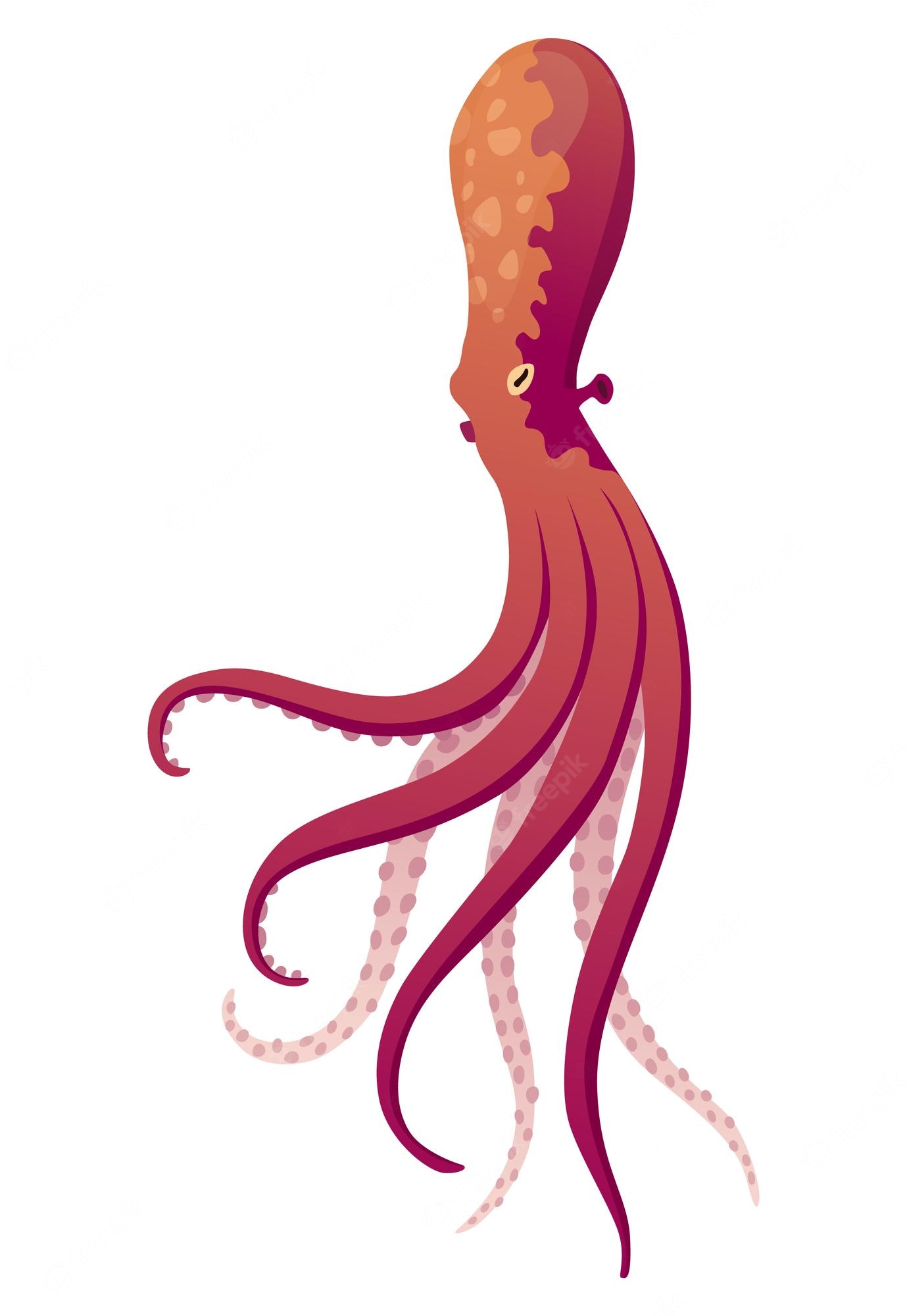 Giant Squid Wallpapers