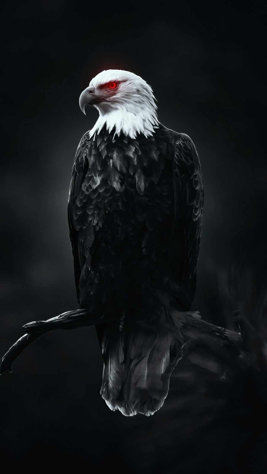 Golden Eagle Wallpapers