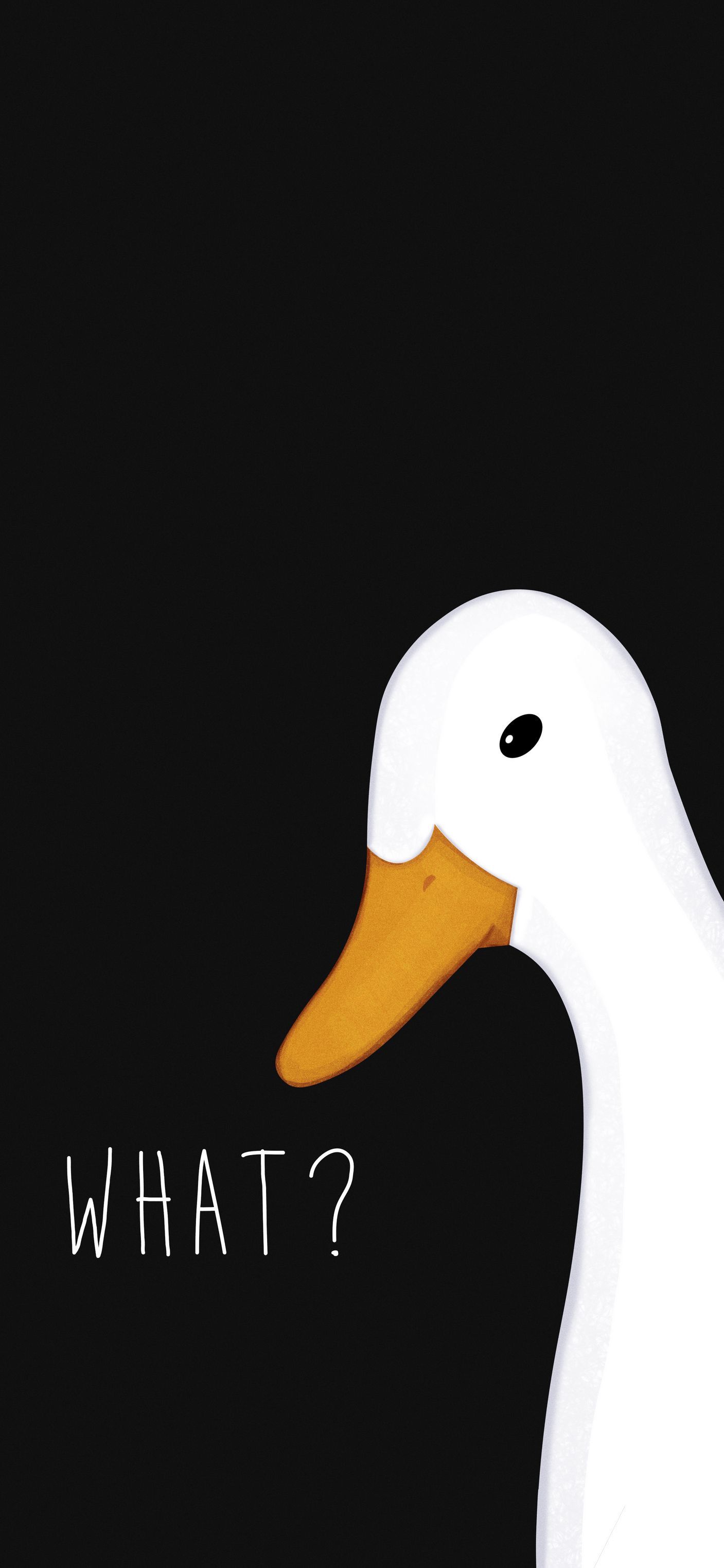 Goose Wallpapers