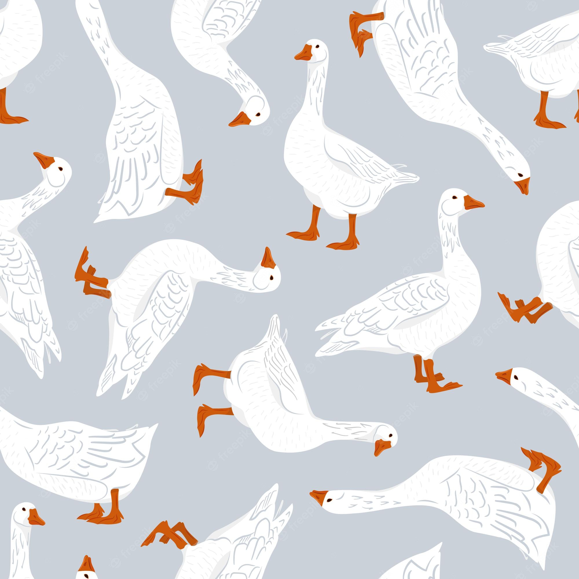 Goose Wallpapers