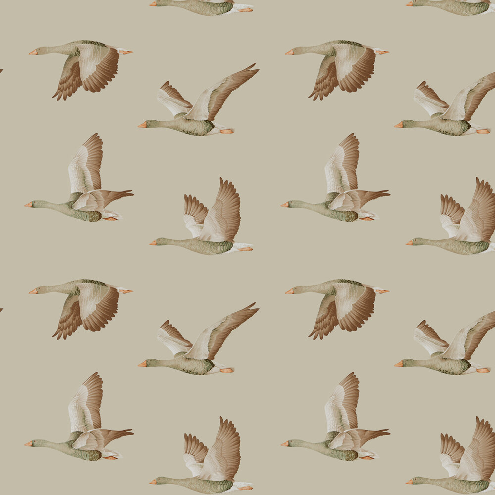 Goose Wallpapers