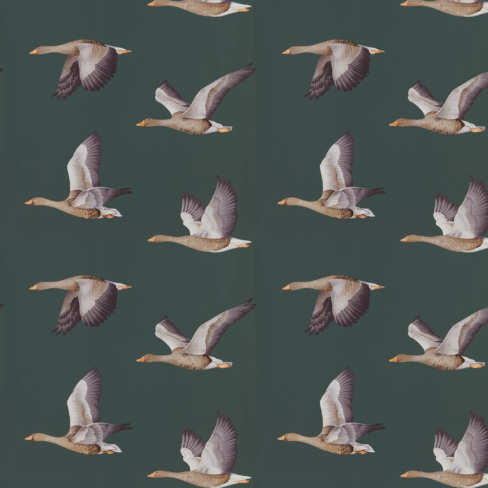 Goose Wallpapers