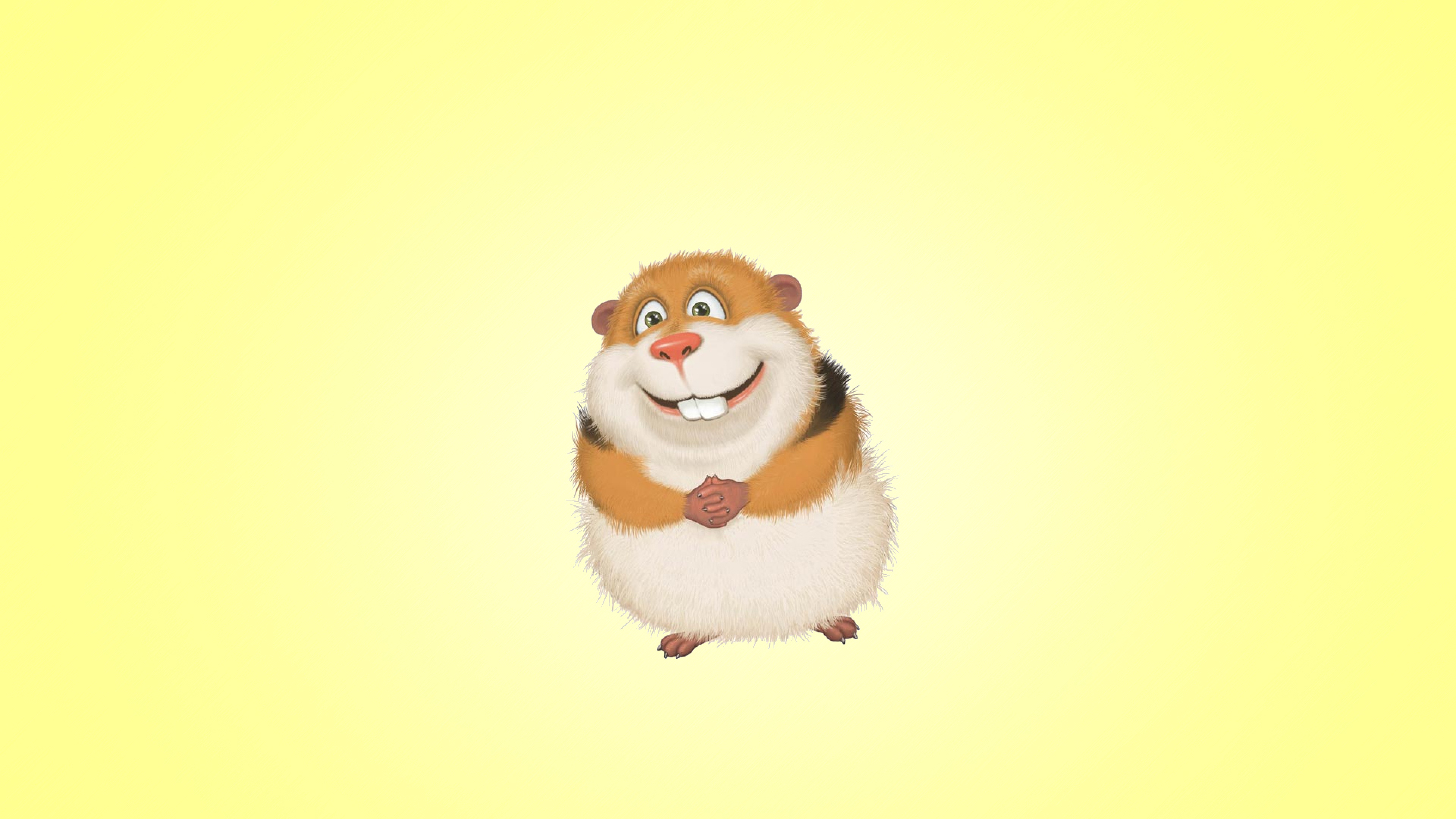 Guinea Pig Wallpapers