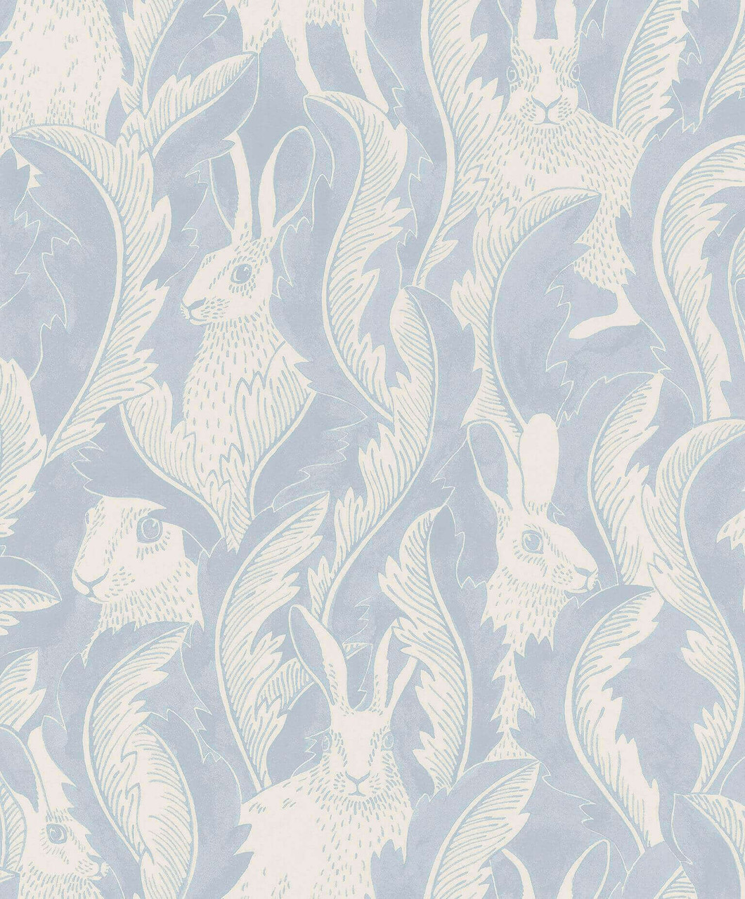 Hare Wallpapers