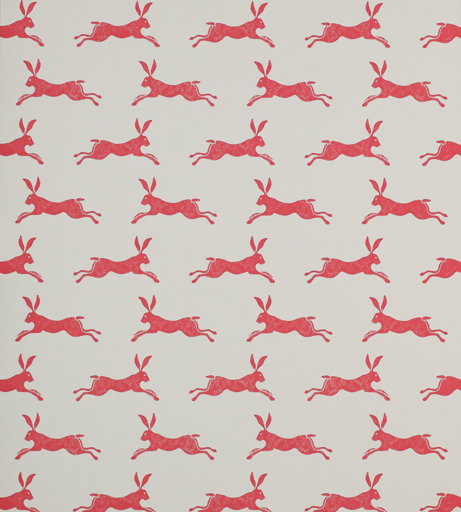 Hare Wallpapers