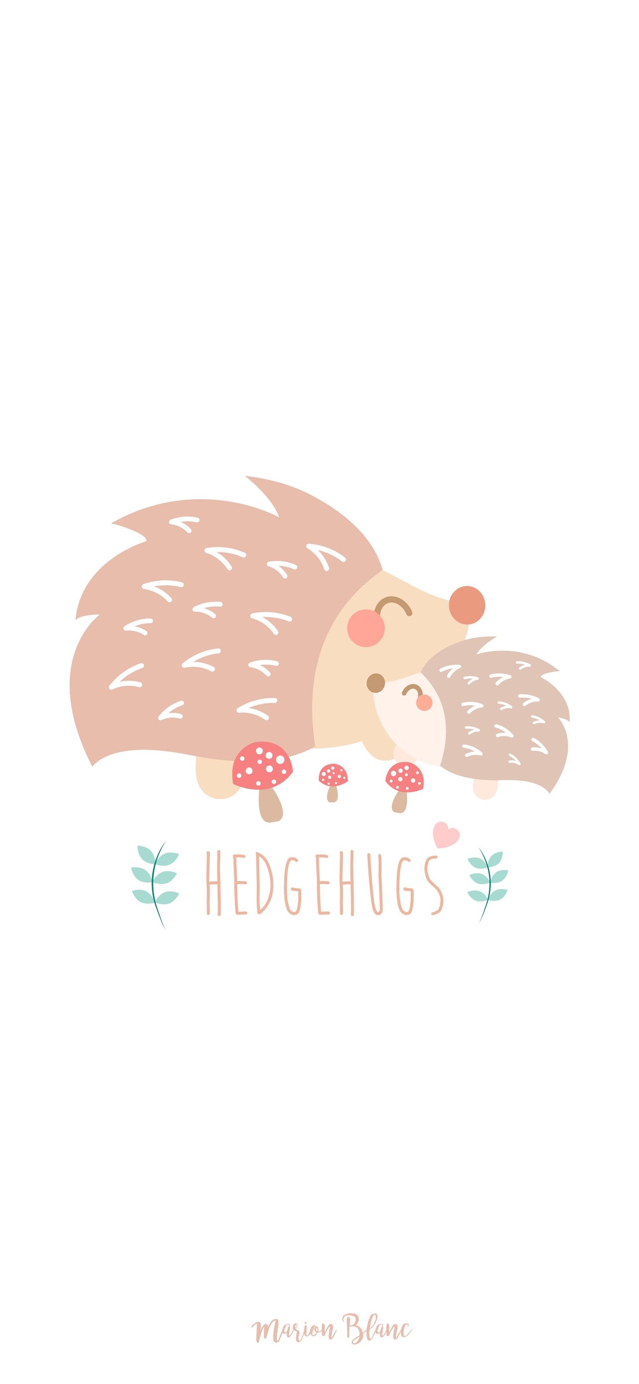 Hedgehogs Wallpapers