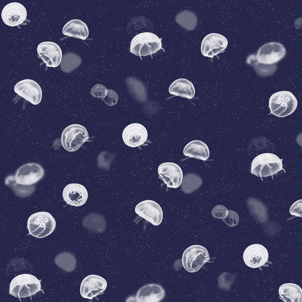 Jellyfish Wallpapers