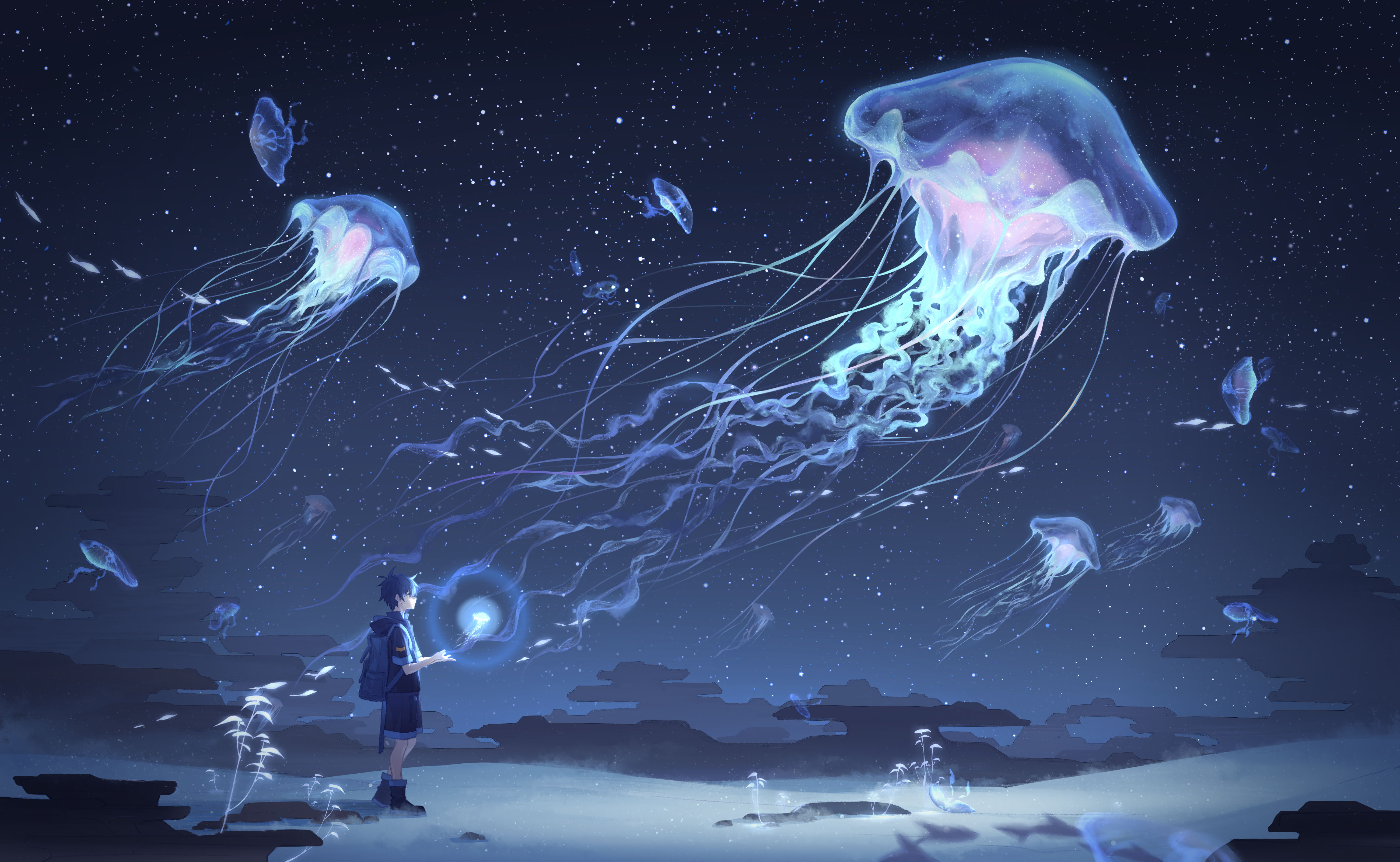 Jellyfish Wallpapers