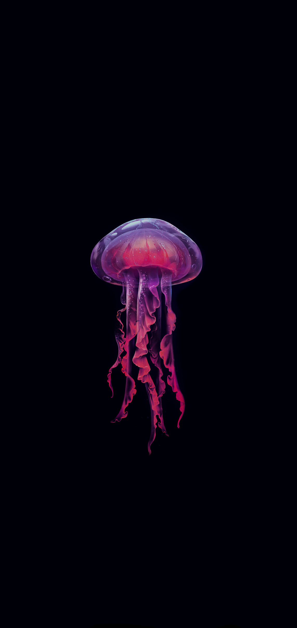 Jellyfish Wallpapers