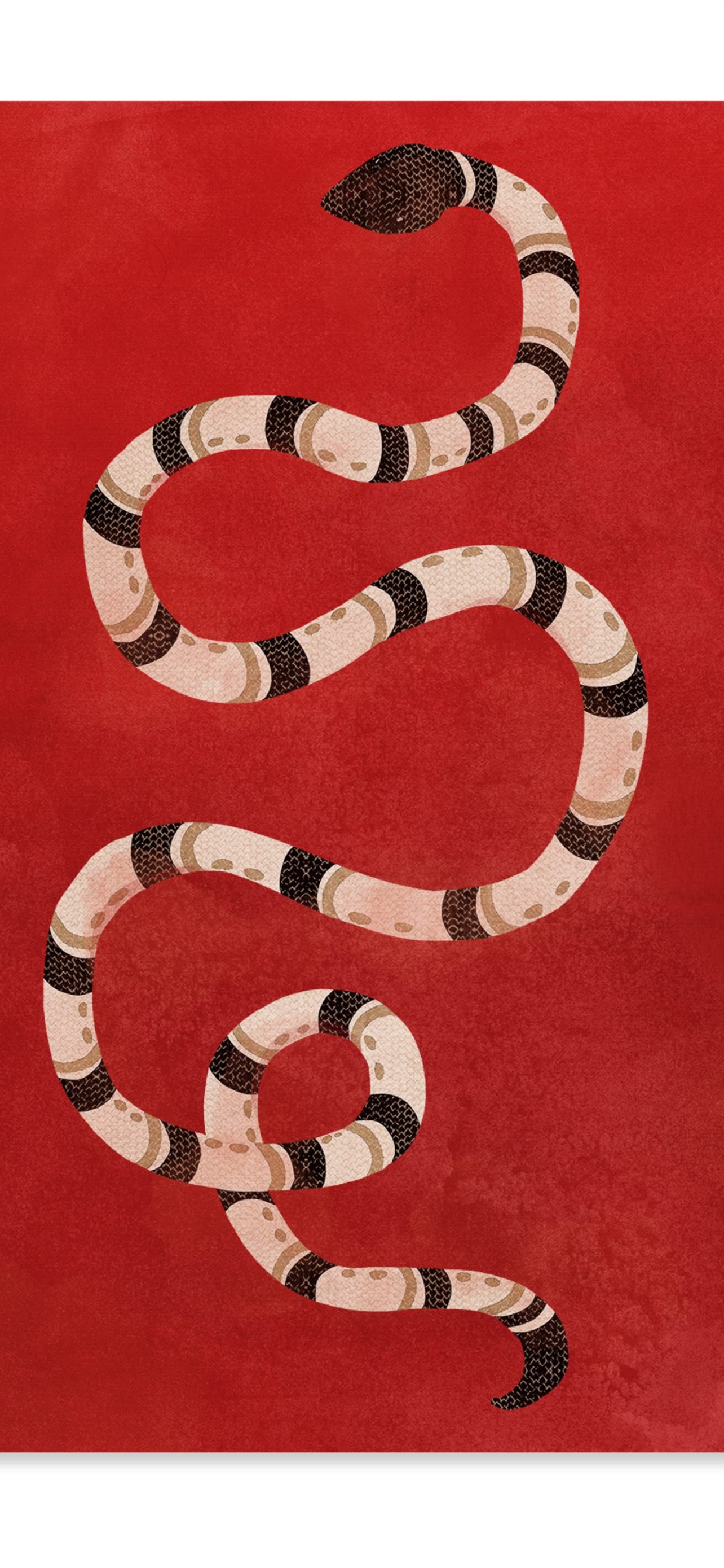 Kingsnakes Wallpapers