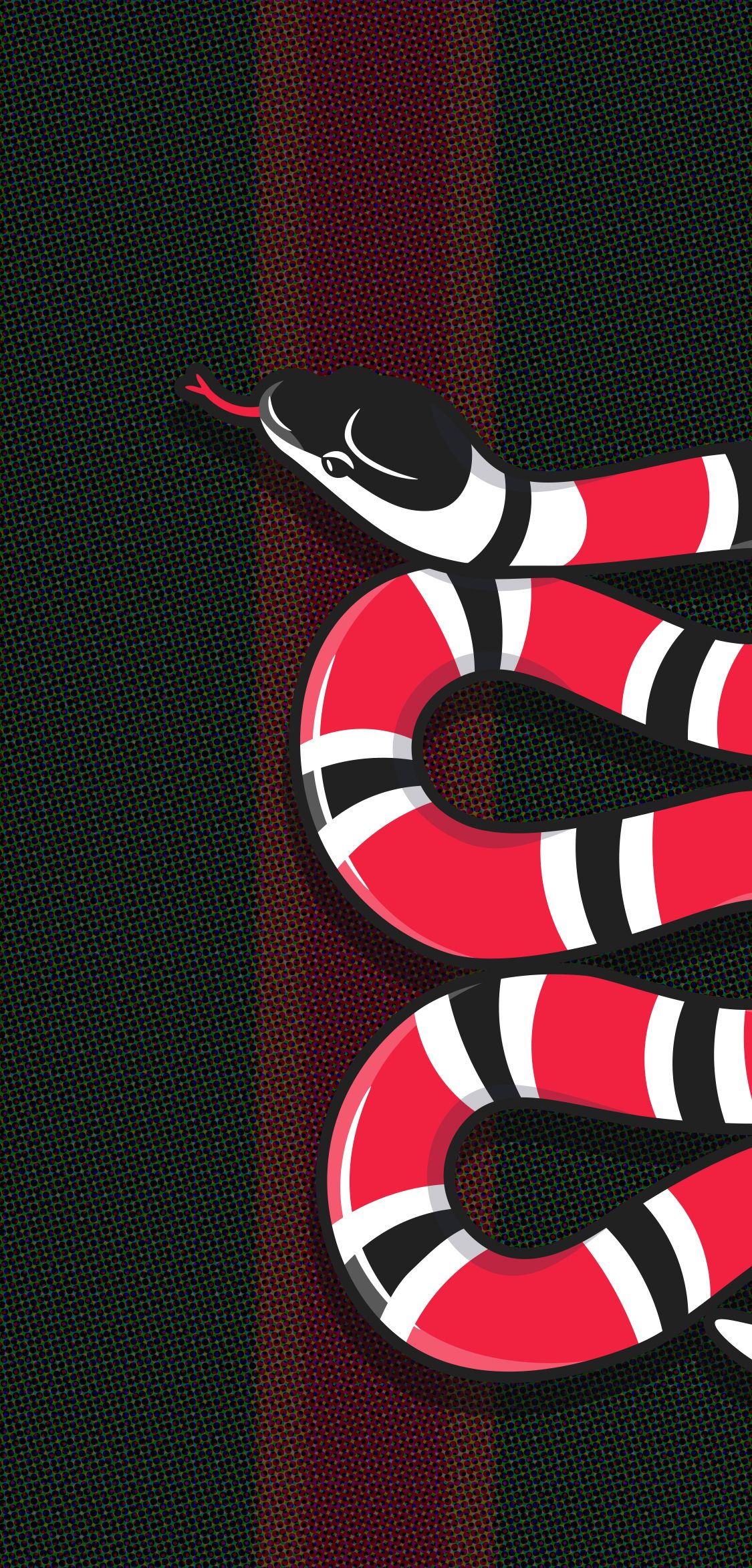 Kingsnakes Wallpapers