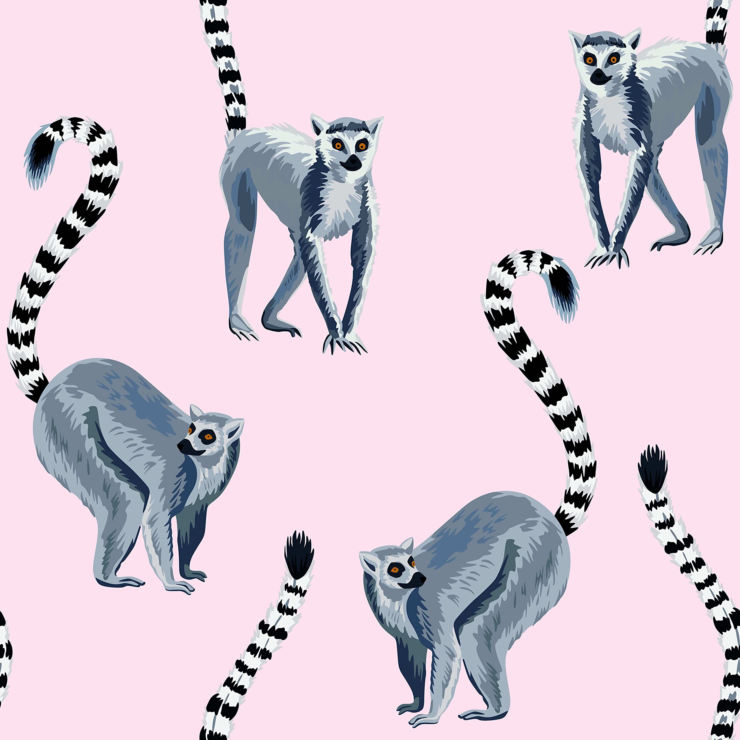 Lemurs Wallpapers