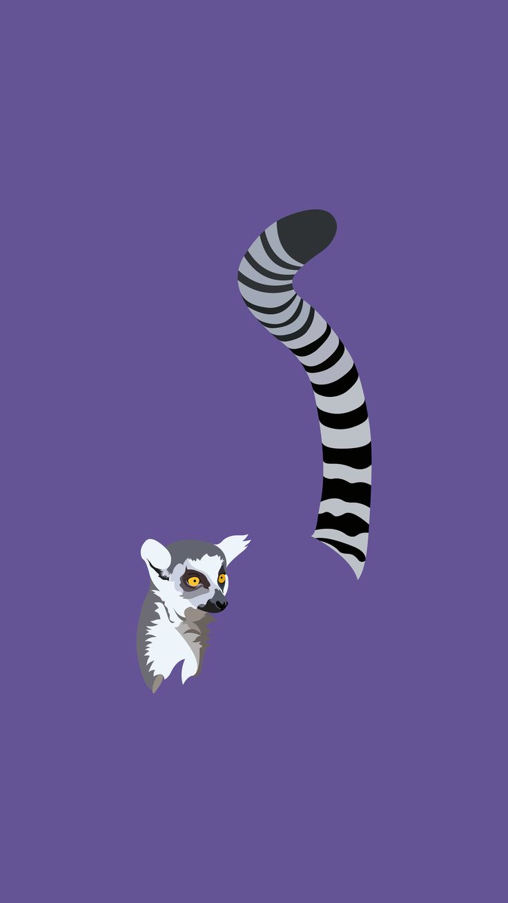 Lemurs Wallpapers