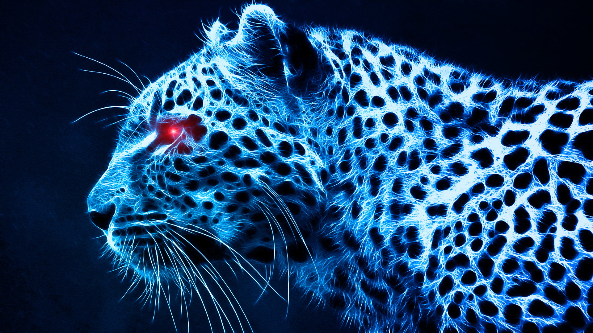 Leopard Wallpapers