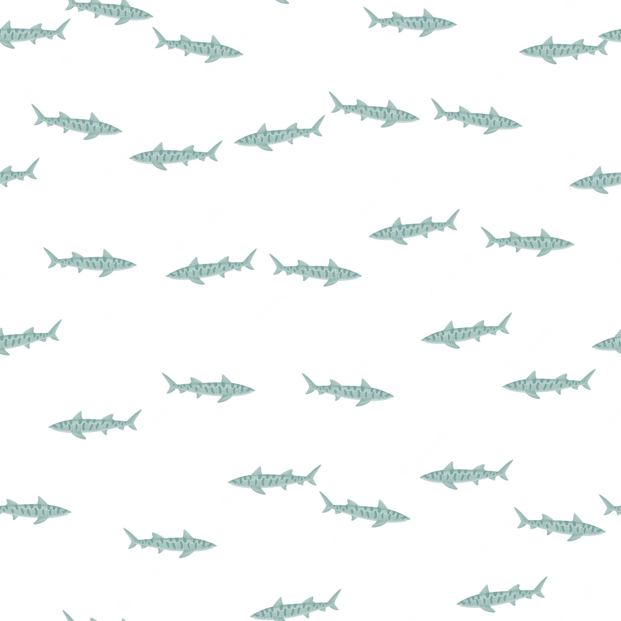 Leopard Shark Wallpapers