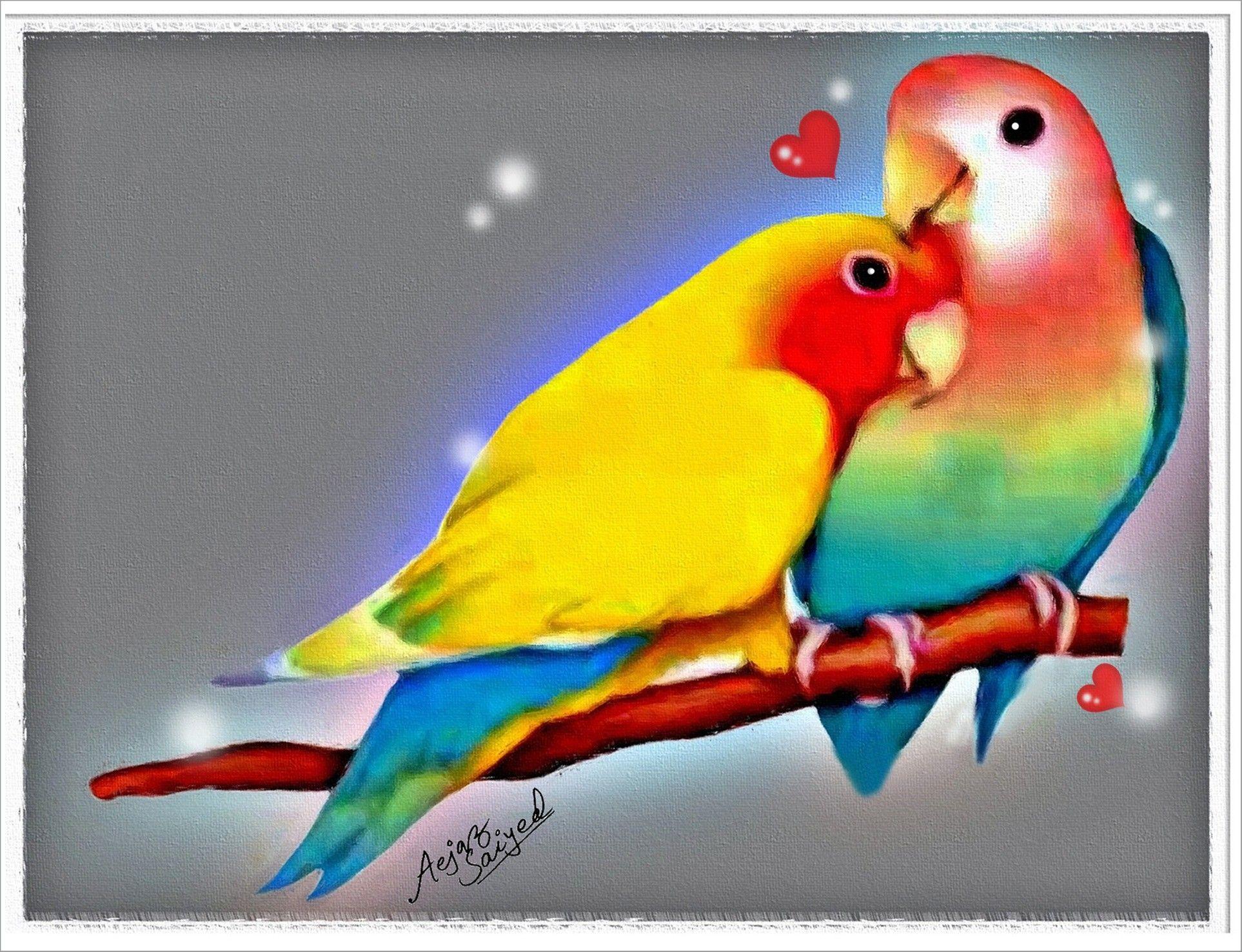 Lovebirds Wallpapers