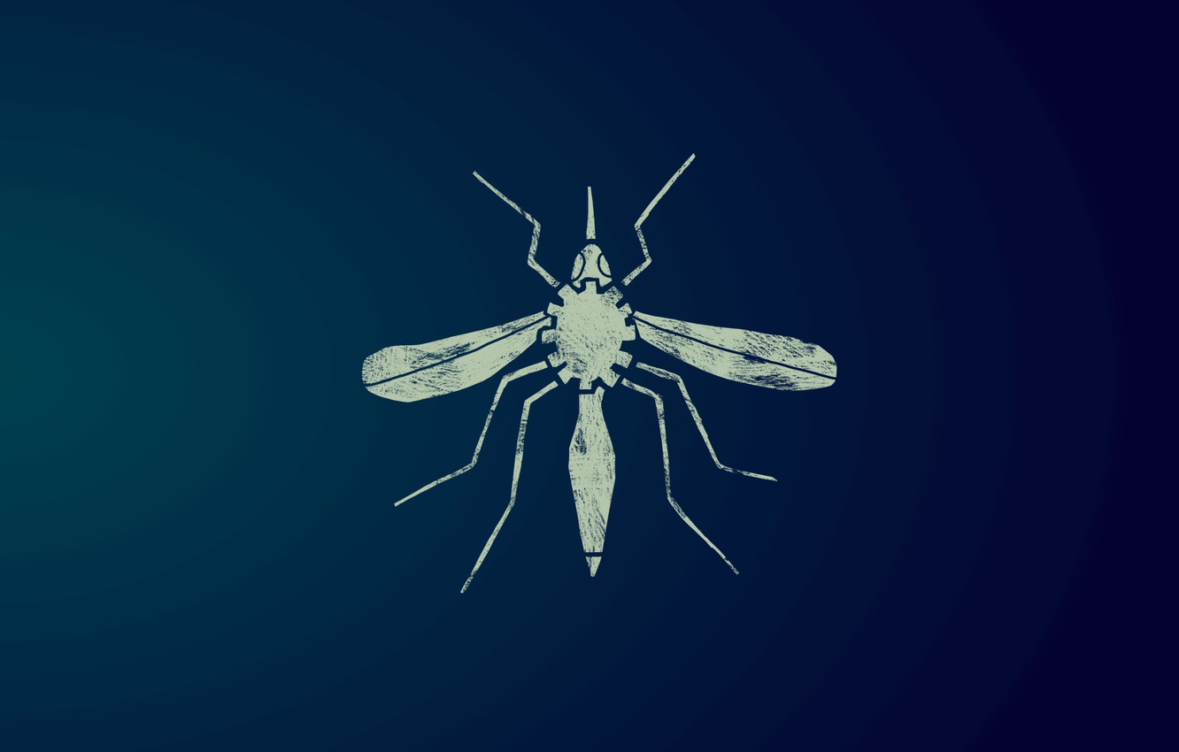 Mosquito Wallpapers