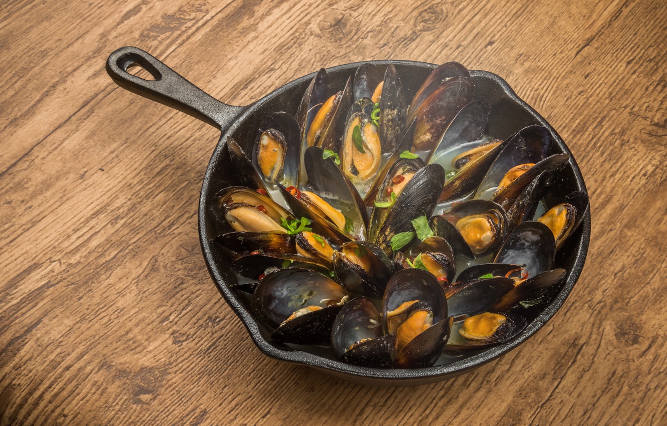 Mussels Wallpapers