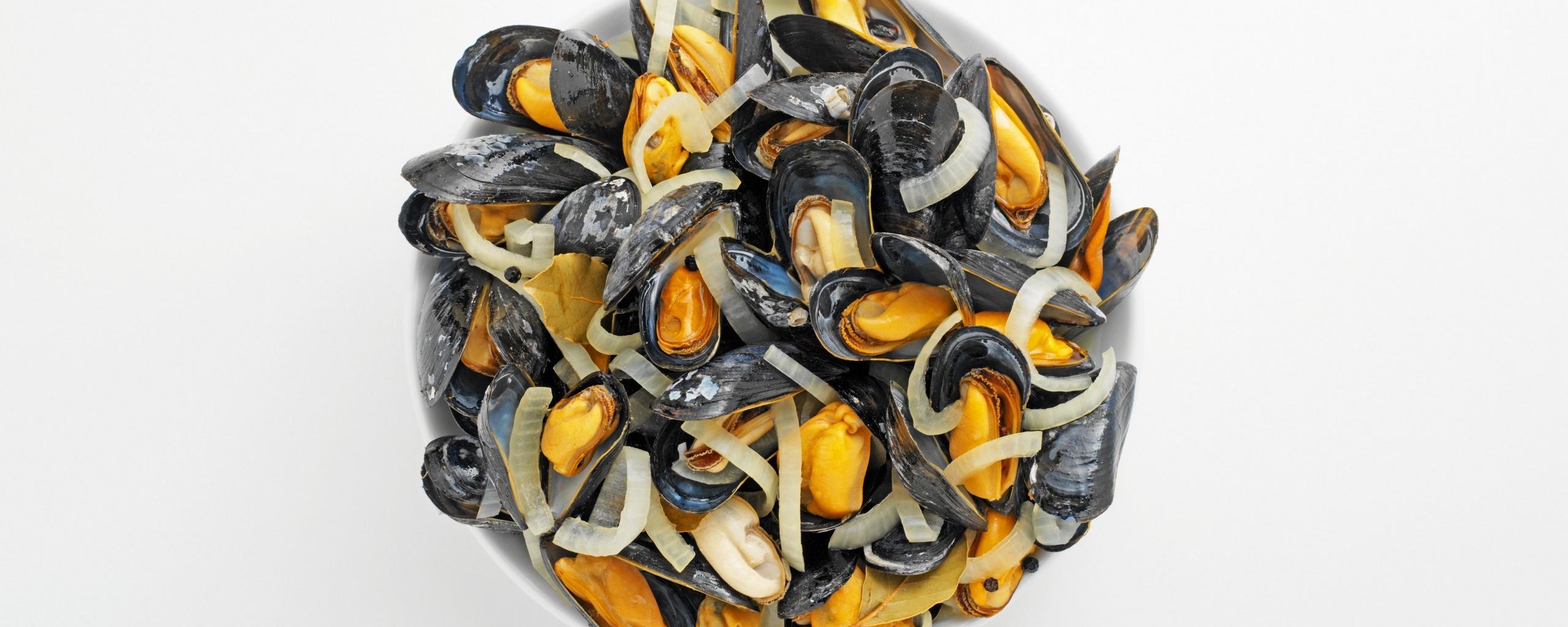 Mussels Wallpapers