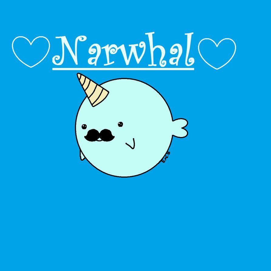 Narwhale Wallpapers