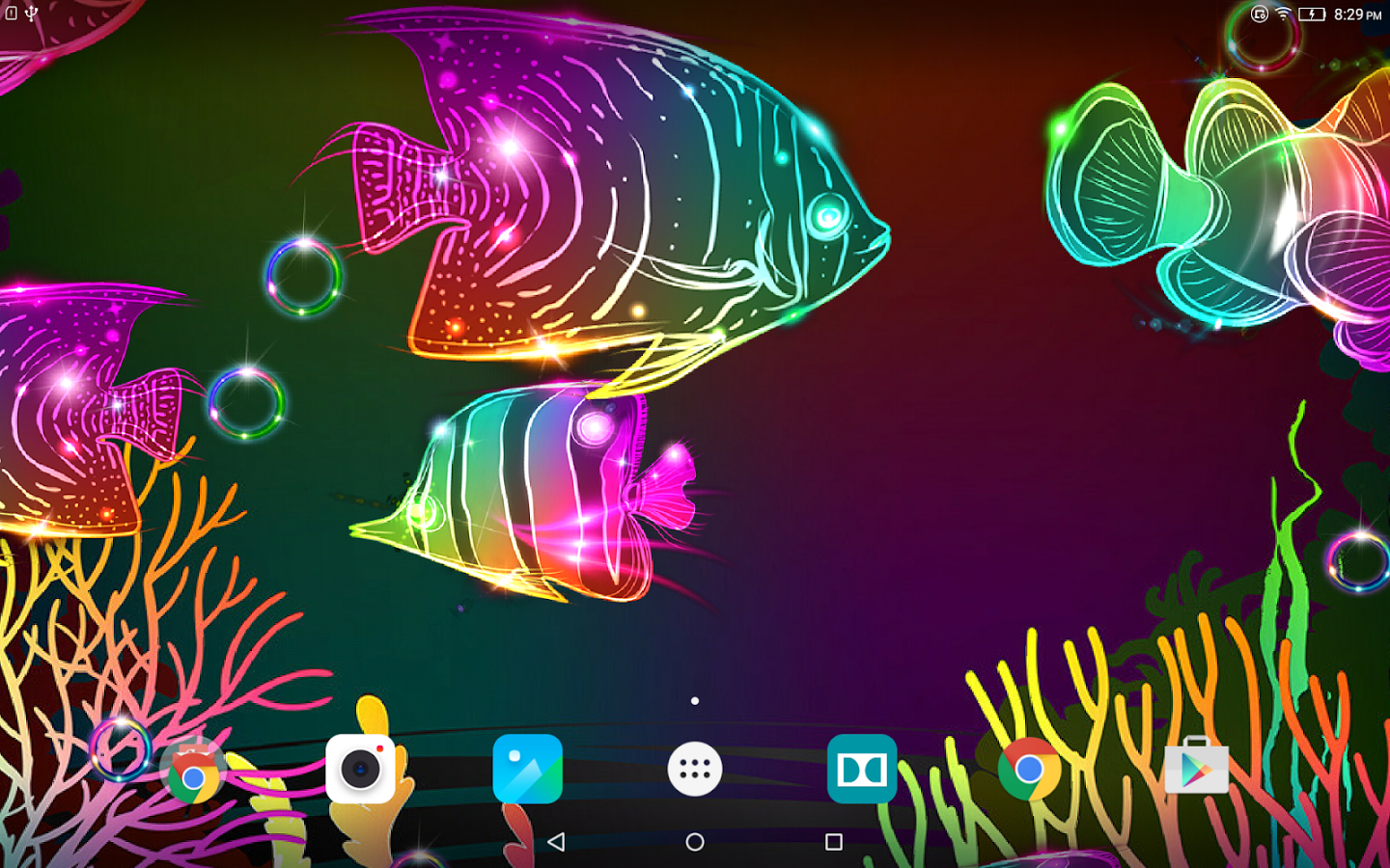 Neon Tetra Wallpapers