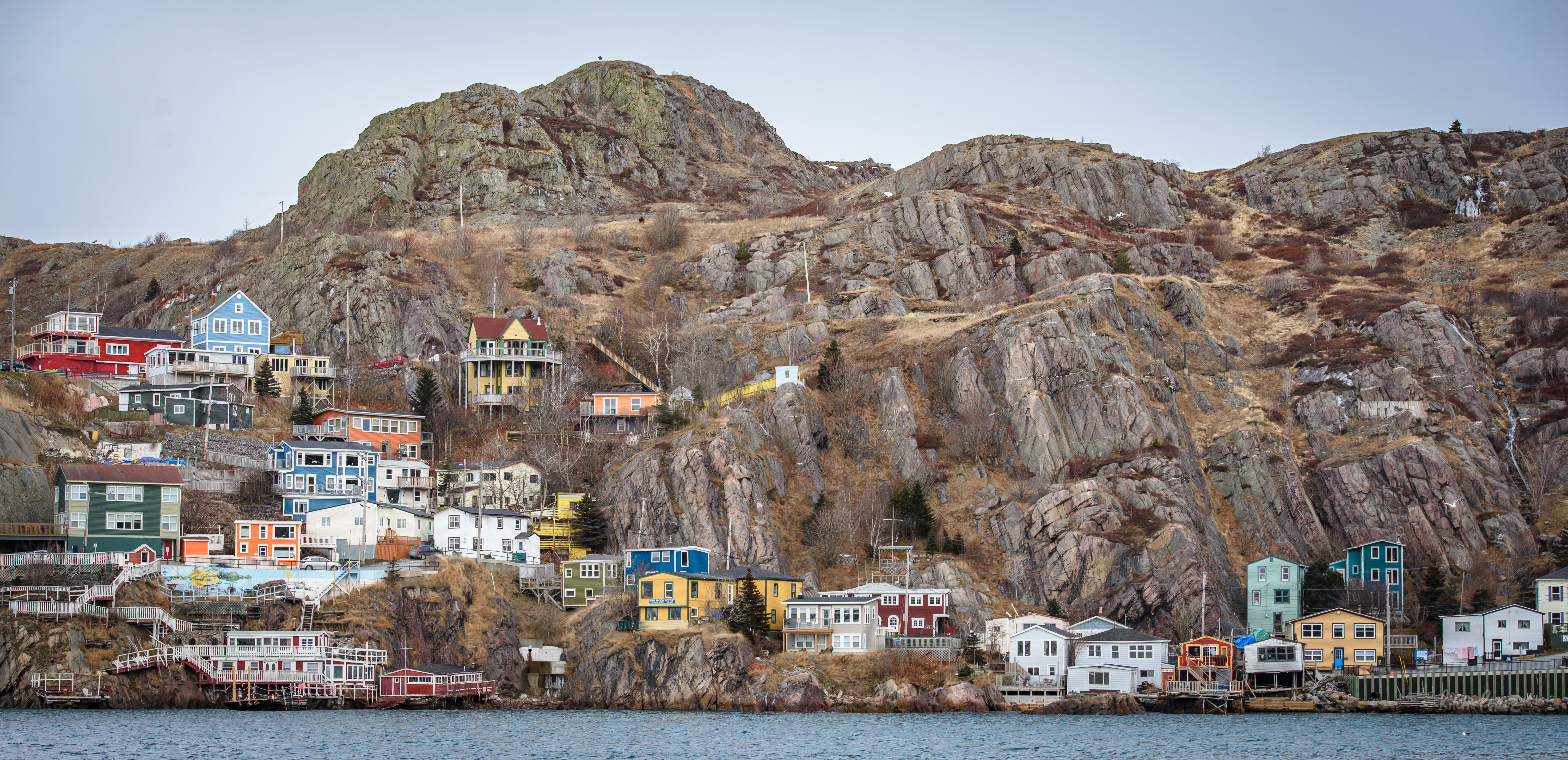 Newfoundland Wallpapers