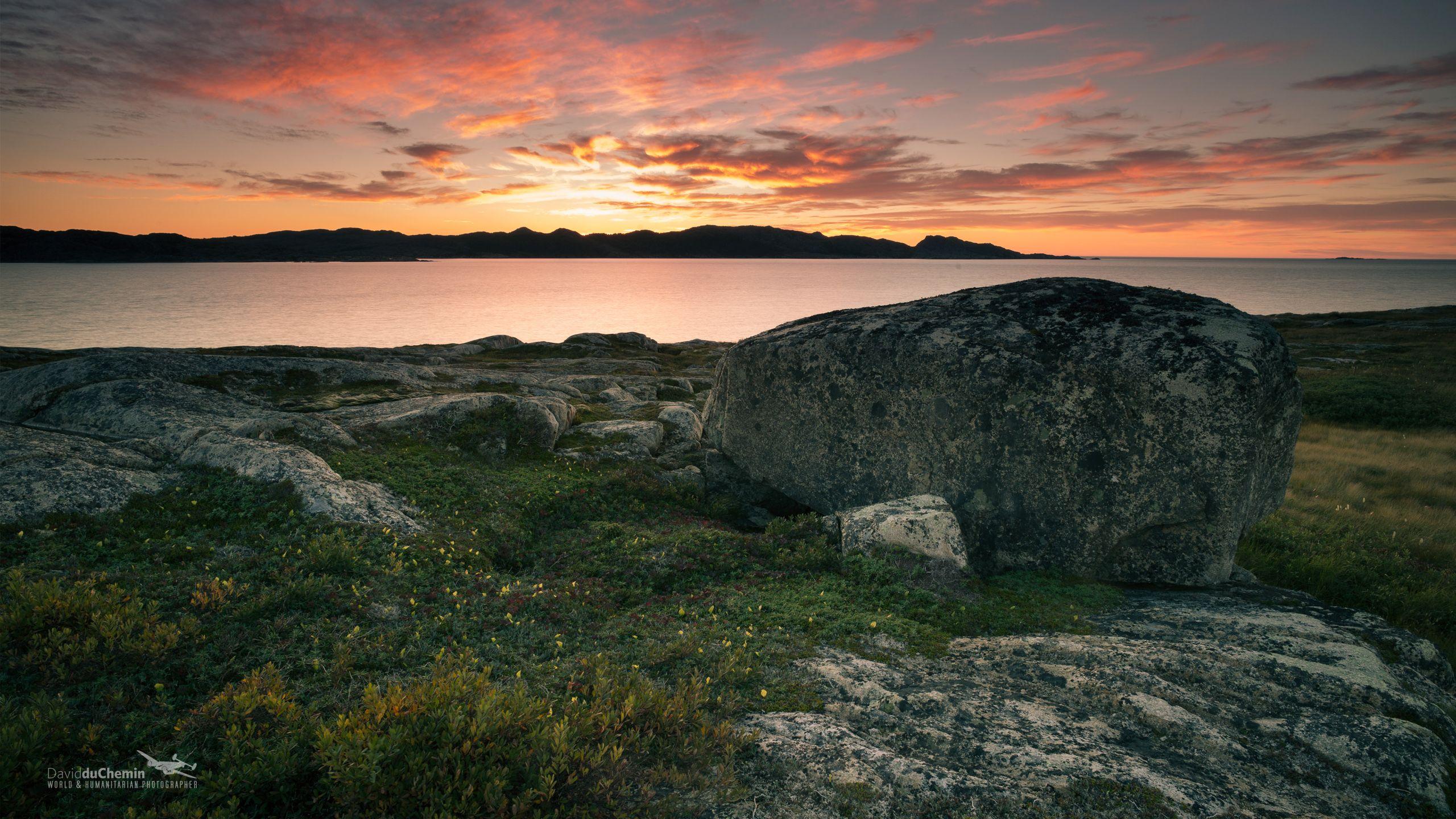 Newfoundland Wallpapers