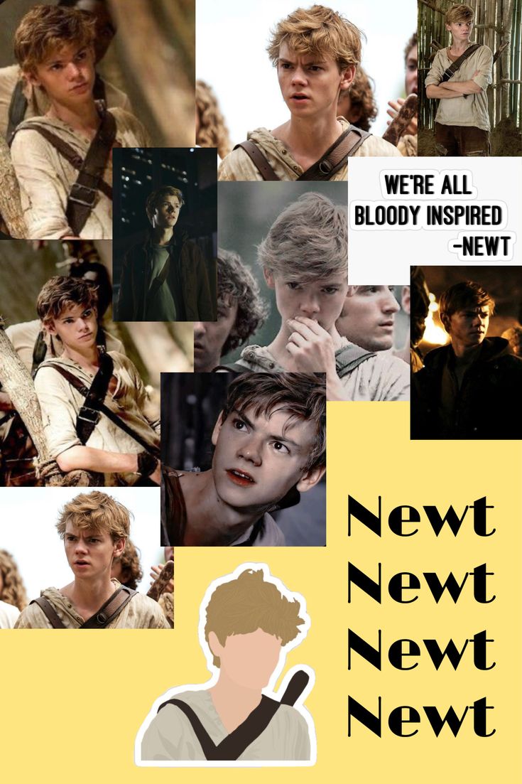 Newt Wallpapers