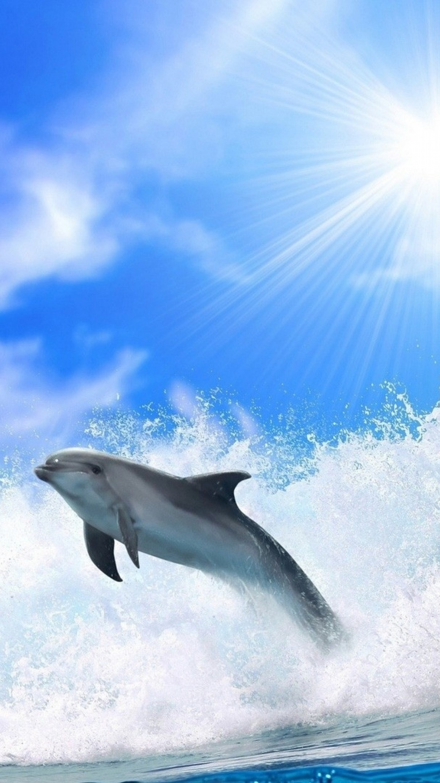 Oceanic Dolphins Wallpapers