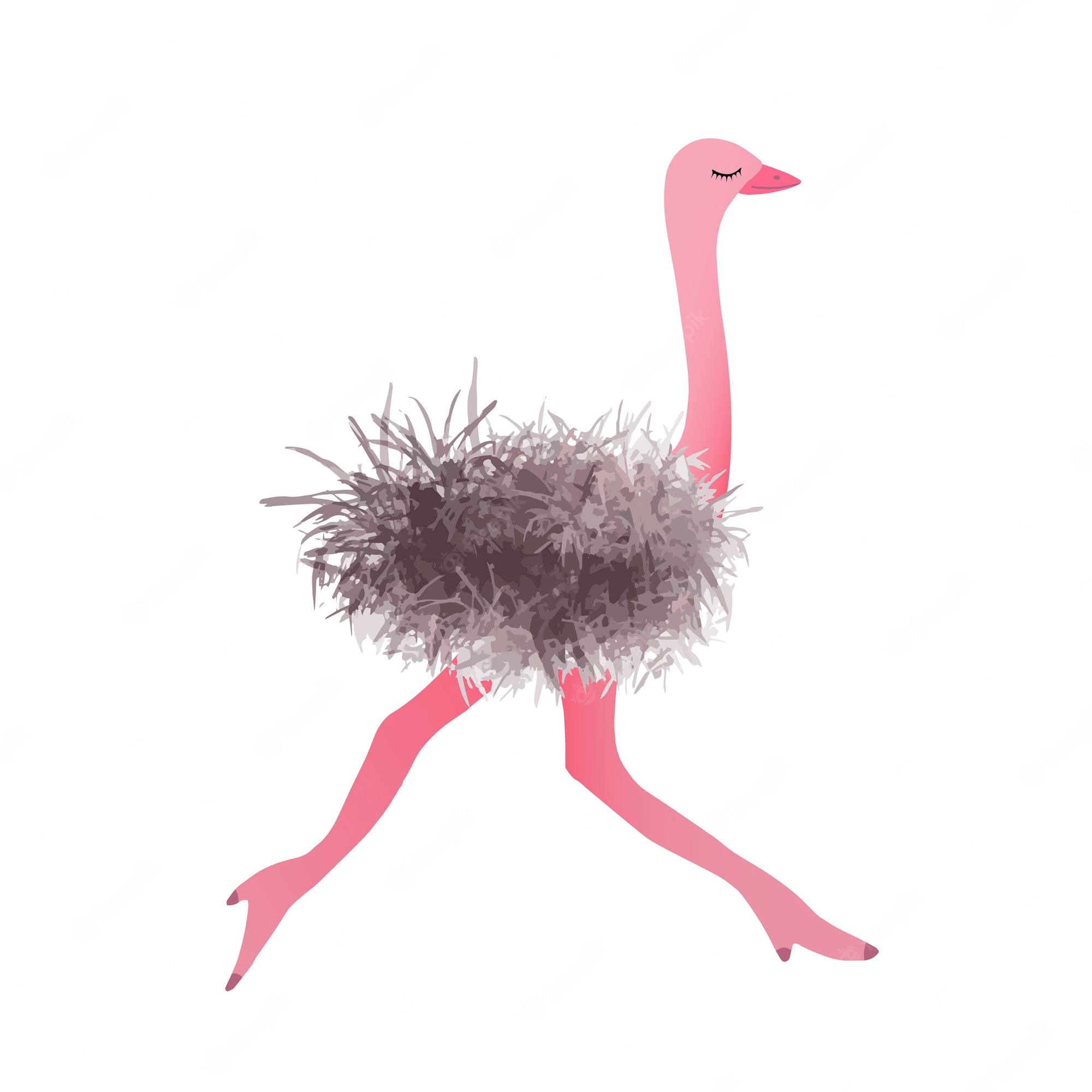 Ostrich Wallpapers