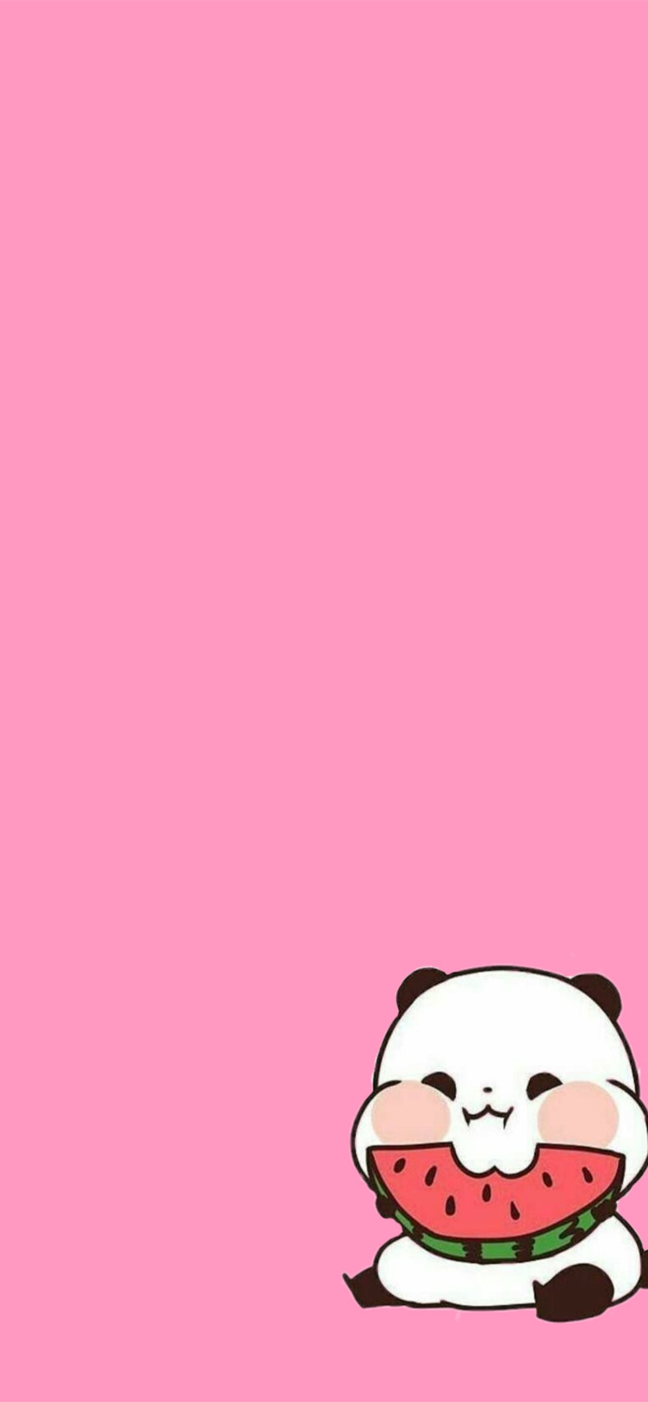 Panda Wallpapers