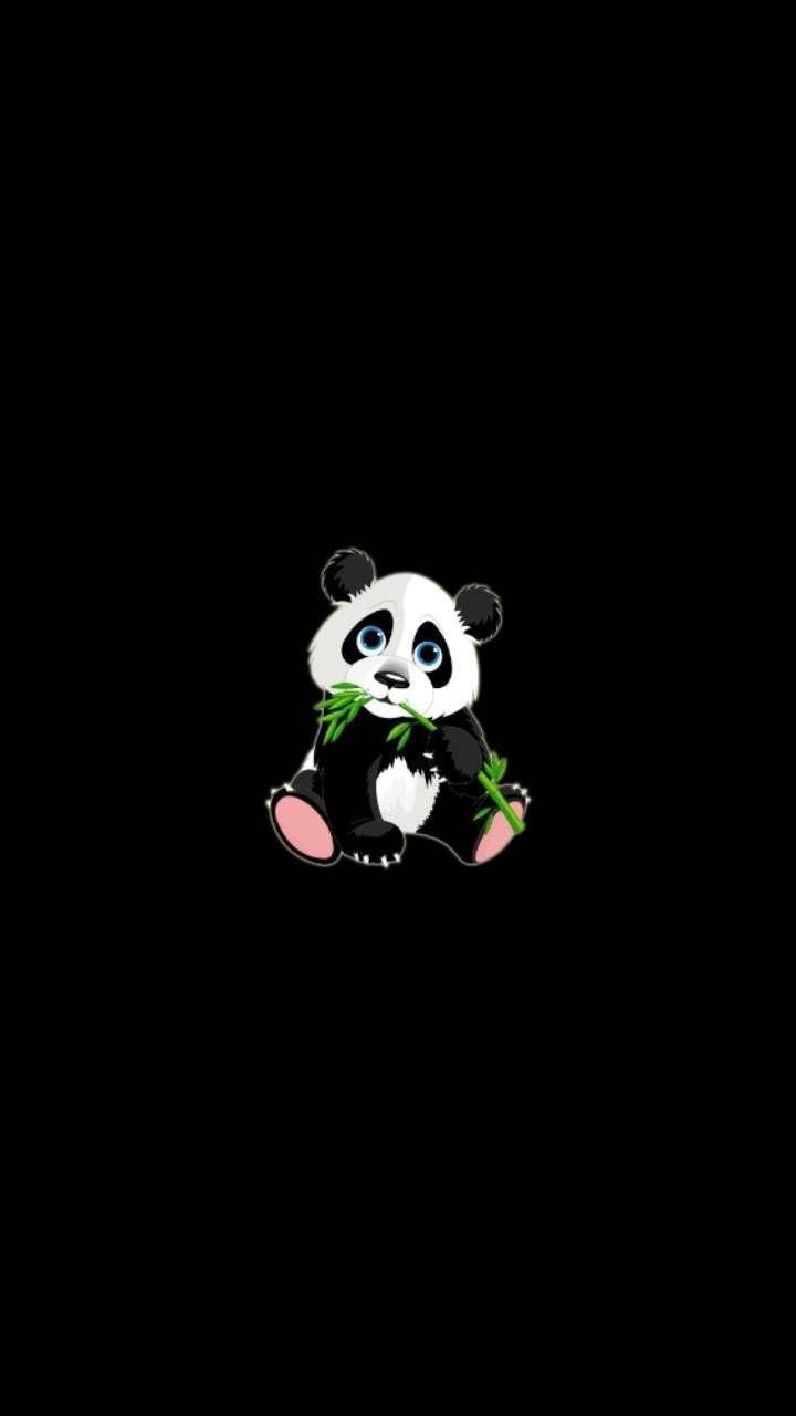 Panda Wallpapers