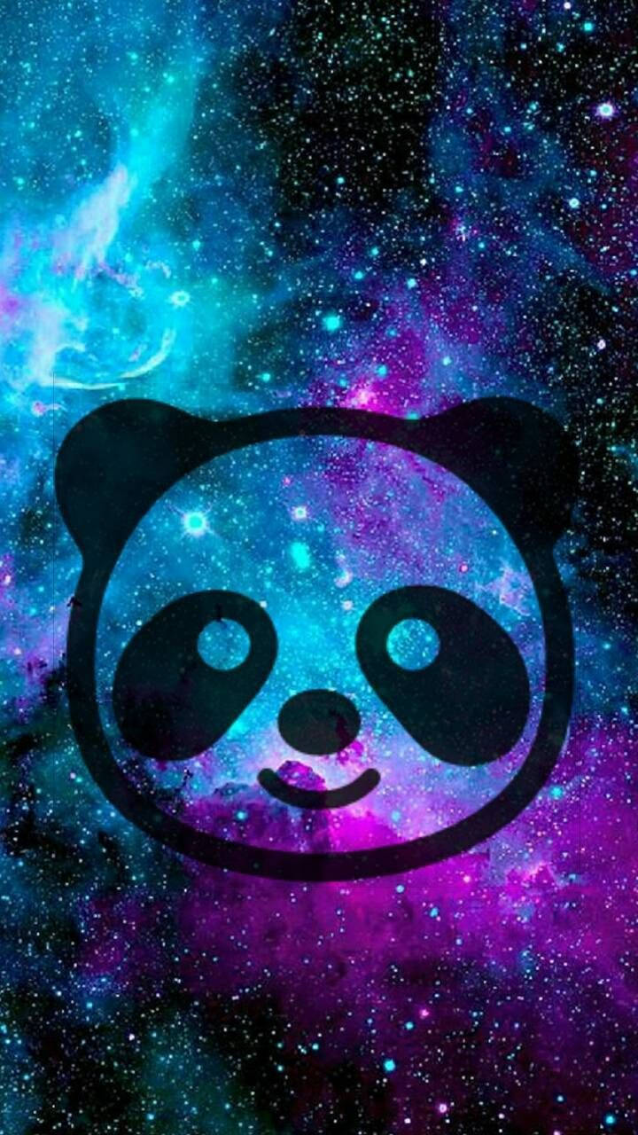 Panda Wallpapers